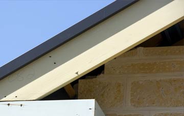 Catton fascia repairs