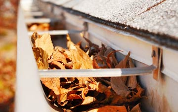 Catton gutter cleaning companies
