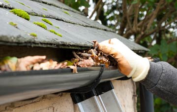 gutter cleaning Catton