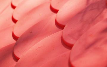 Catton plastic roof costs